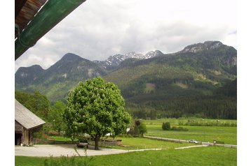 Austria Privát Gosau, Exterior